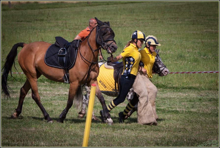 Mounted Games 301